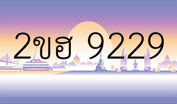 2ขฮ 9229